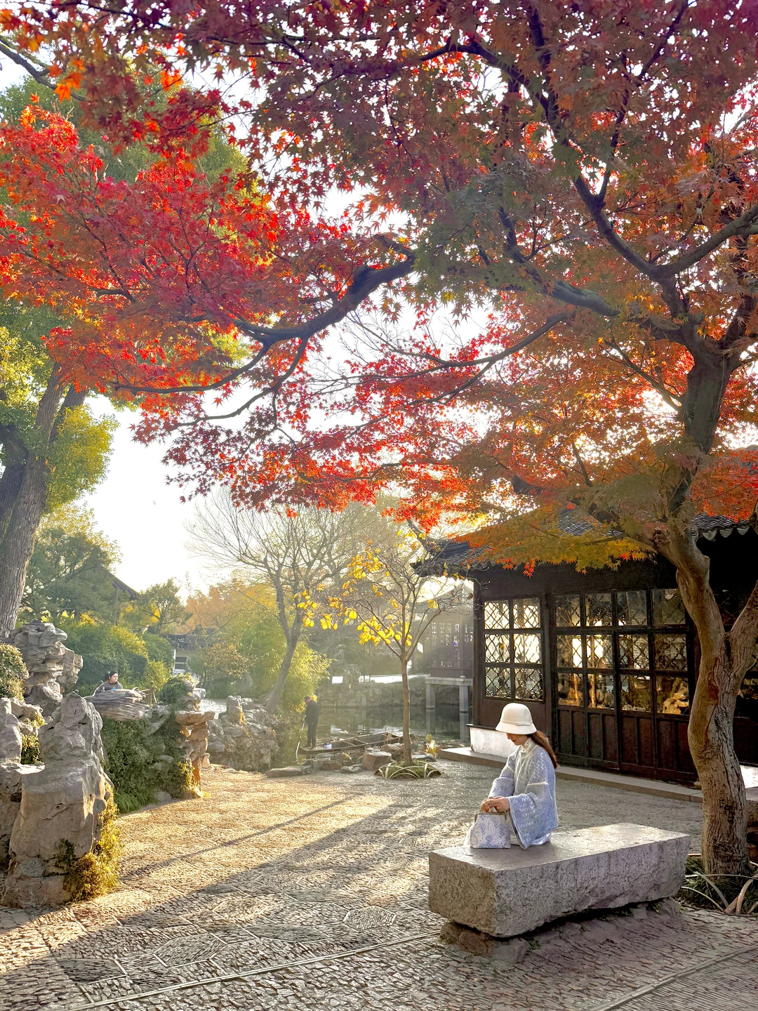 Live🍁接下来的苏州，将迎来封神级别的秋天