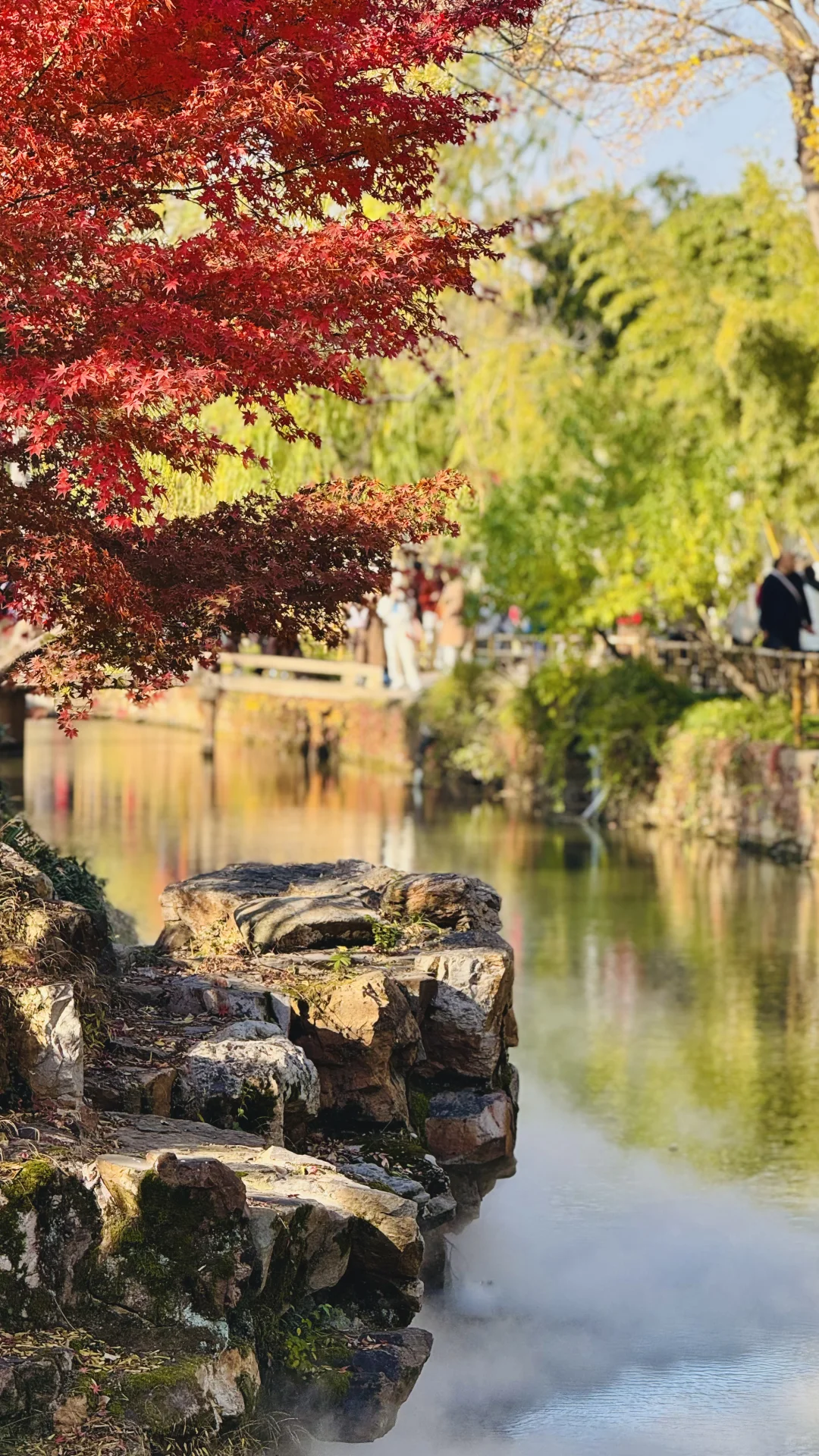 苏州的秋太美了