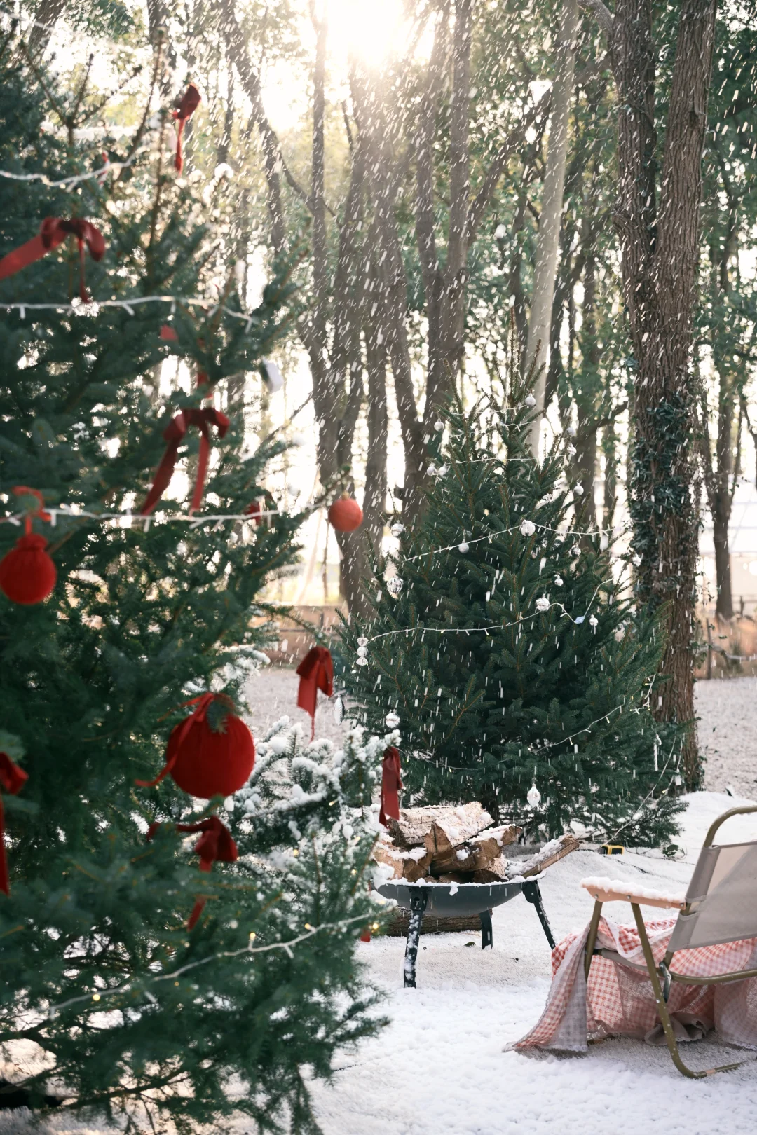 阳澄湖这里的飘雪，也太太太太太好拍了吧！！！