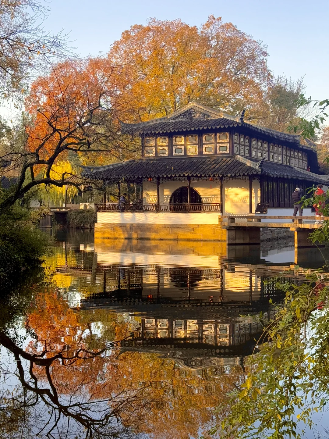 Live🍁接下来的苏州，将迎来封神级别的秋天