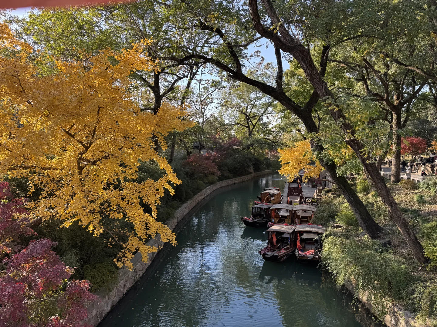 苏州的的秋马上要结束了