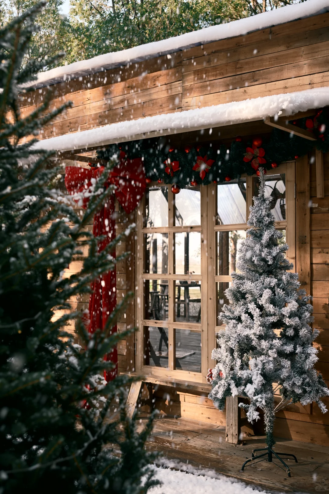 阳澄湖这里的飘雪，也太太太太太好拍了吧！！！
