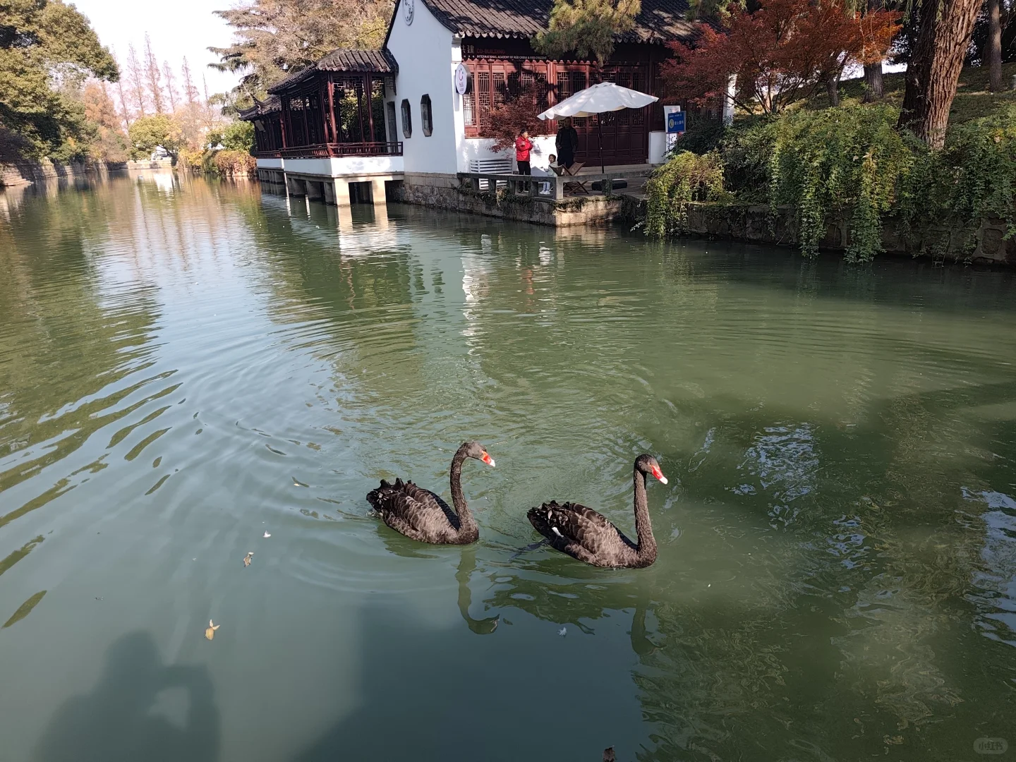 周末，来看下苏州大学