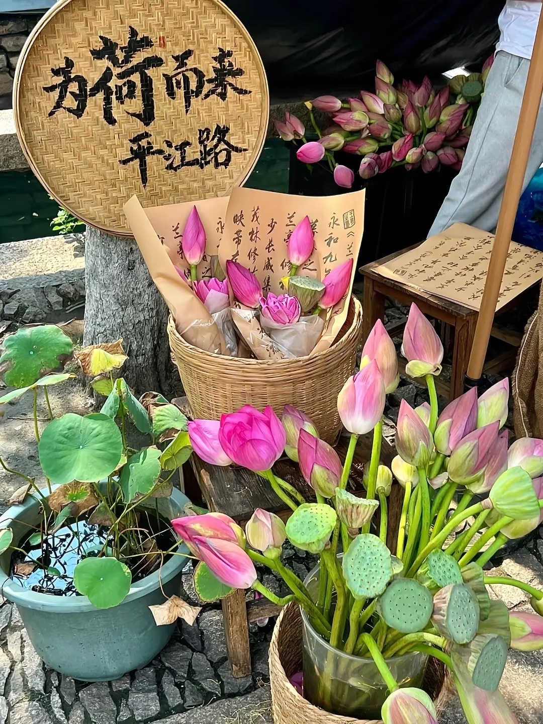 📍𝐒𝐮 𝐙𝐡𝐨𝐮 苏州