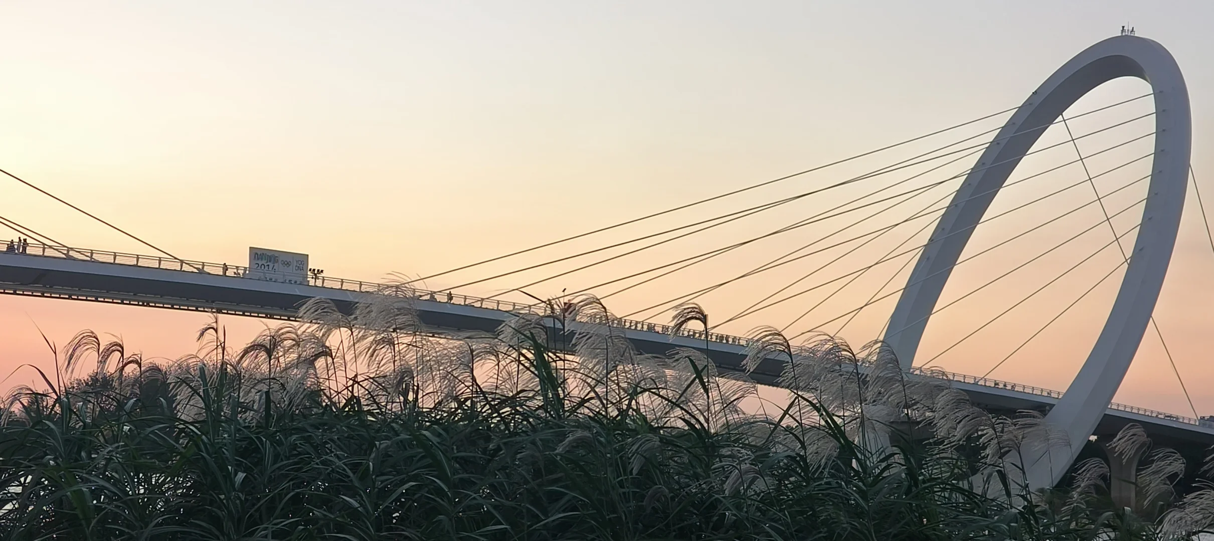 对方邀你云游南京眼