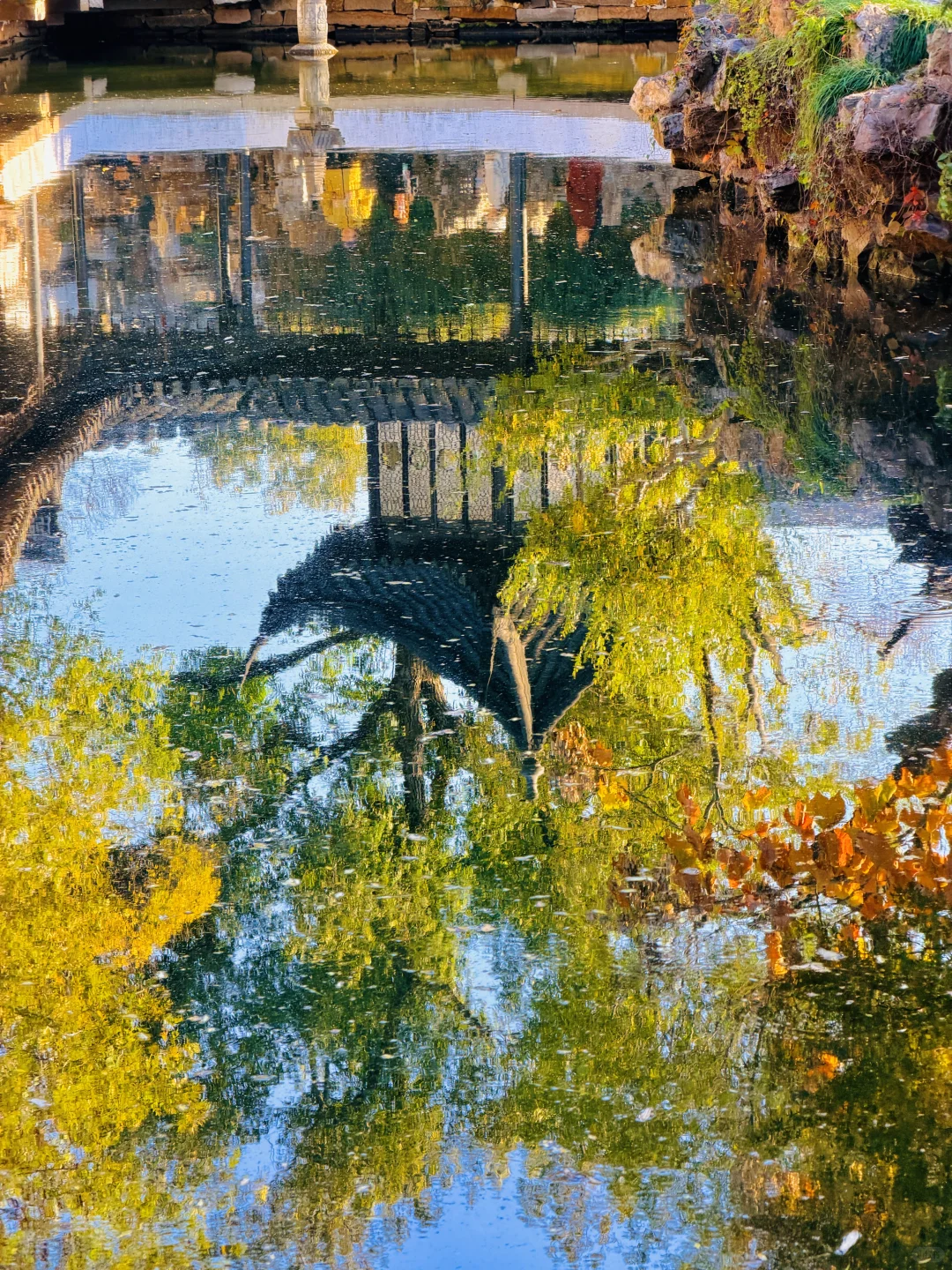 拙政园实况❗️苏州秋天的美，真的很难不爱❗️