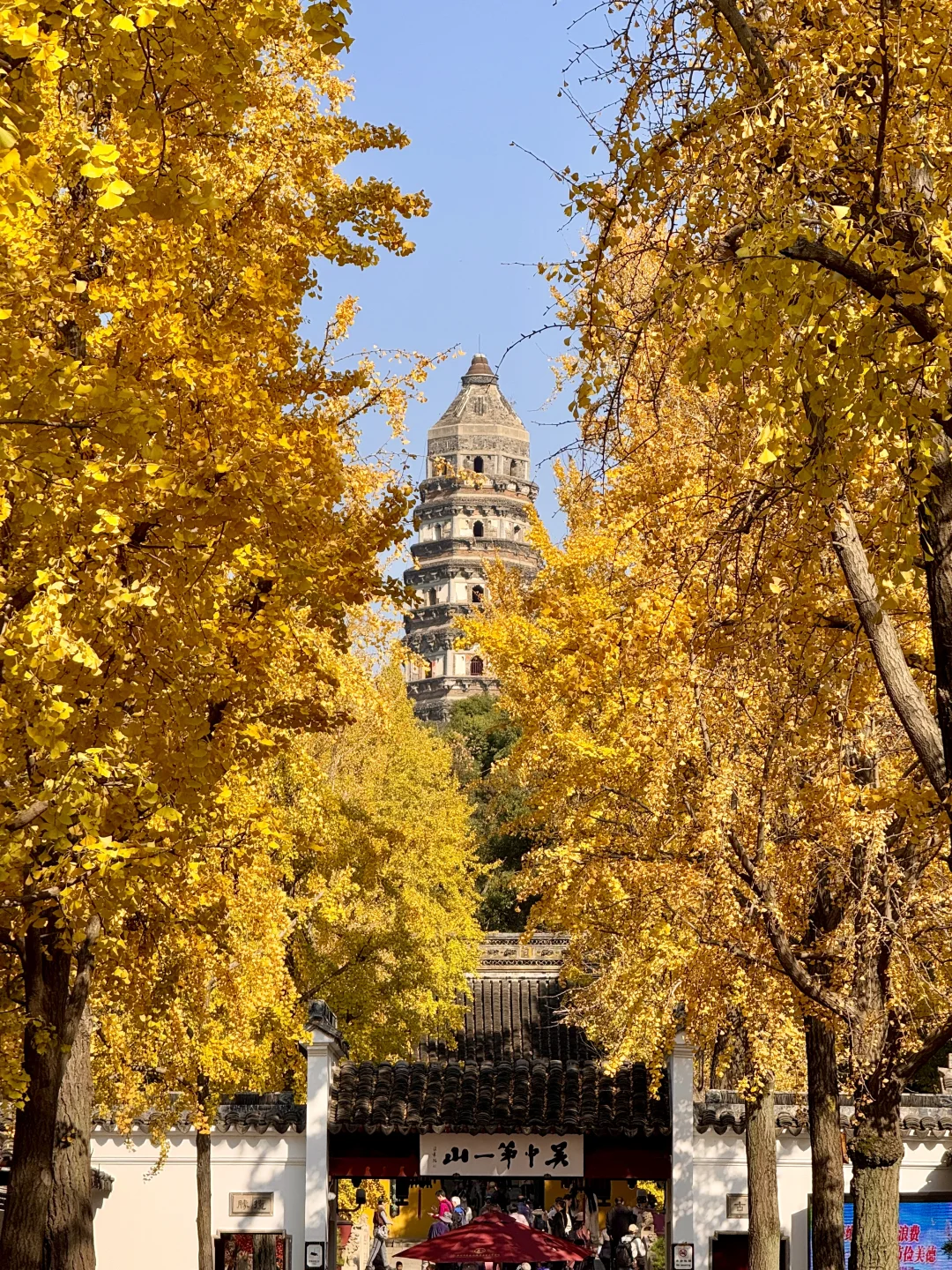 Live🍁接下来的苏州，将迎来封神级别的秋天