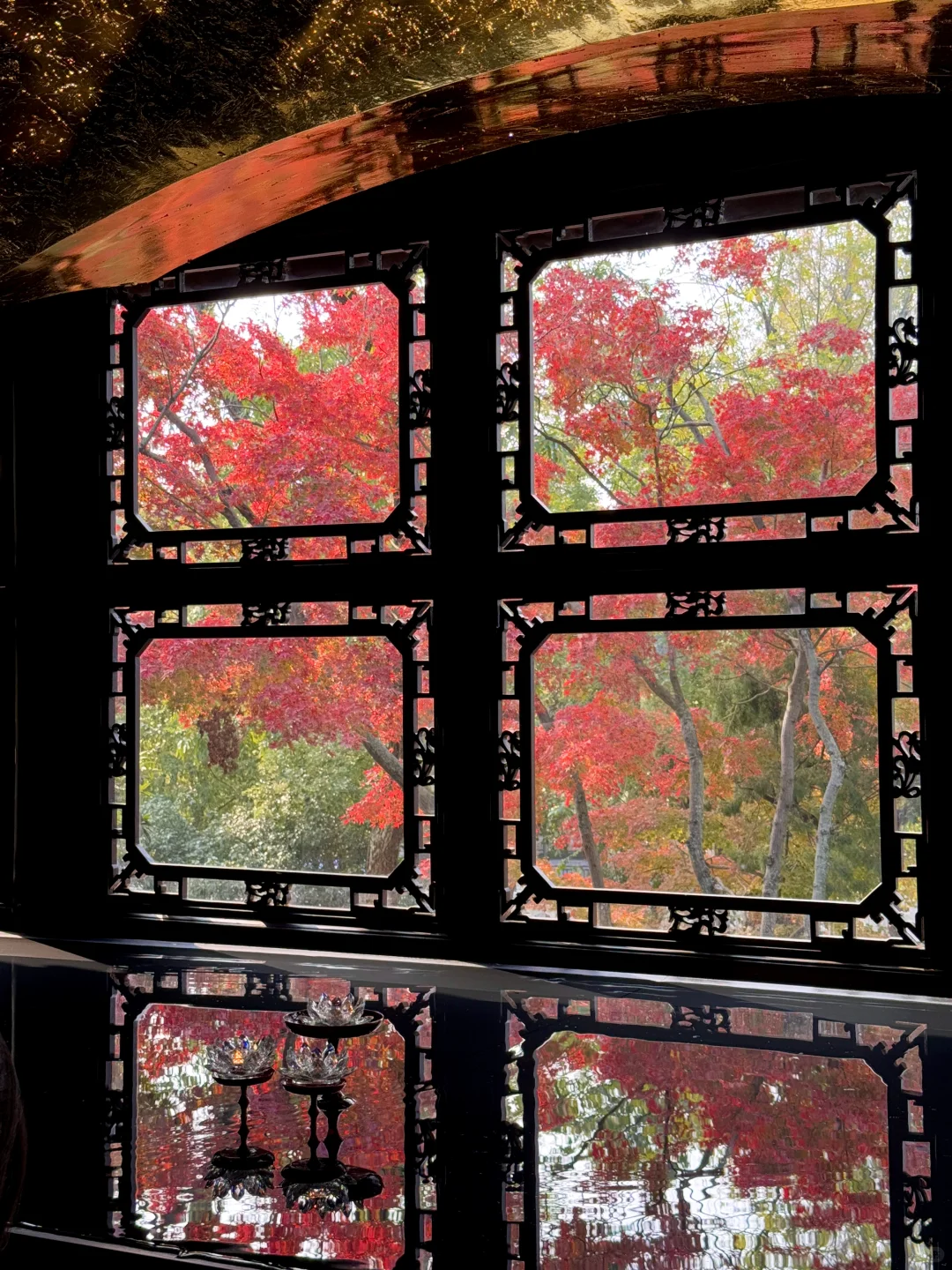 Live🍁接下来的苏州，将迎来封神级别的秋天