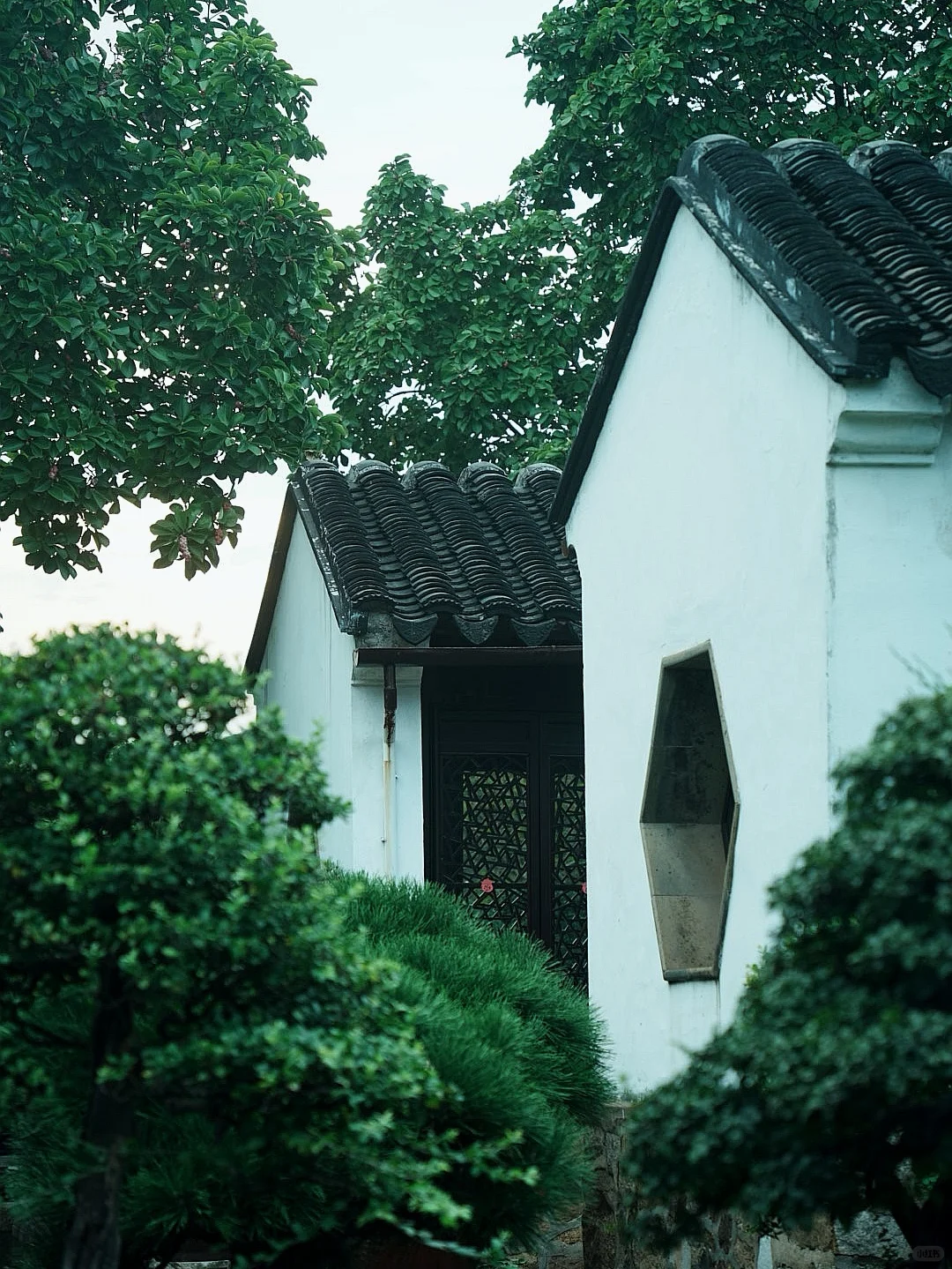 苏州｜一步一景，尽显江南诗意