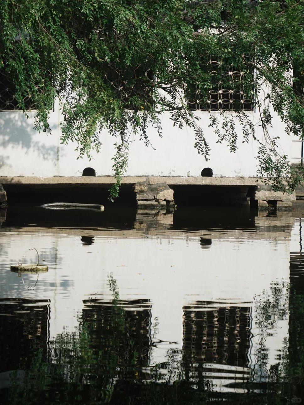 苏州｜一步一景，尽显江南诗意