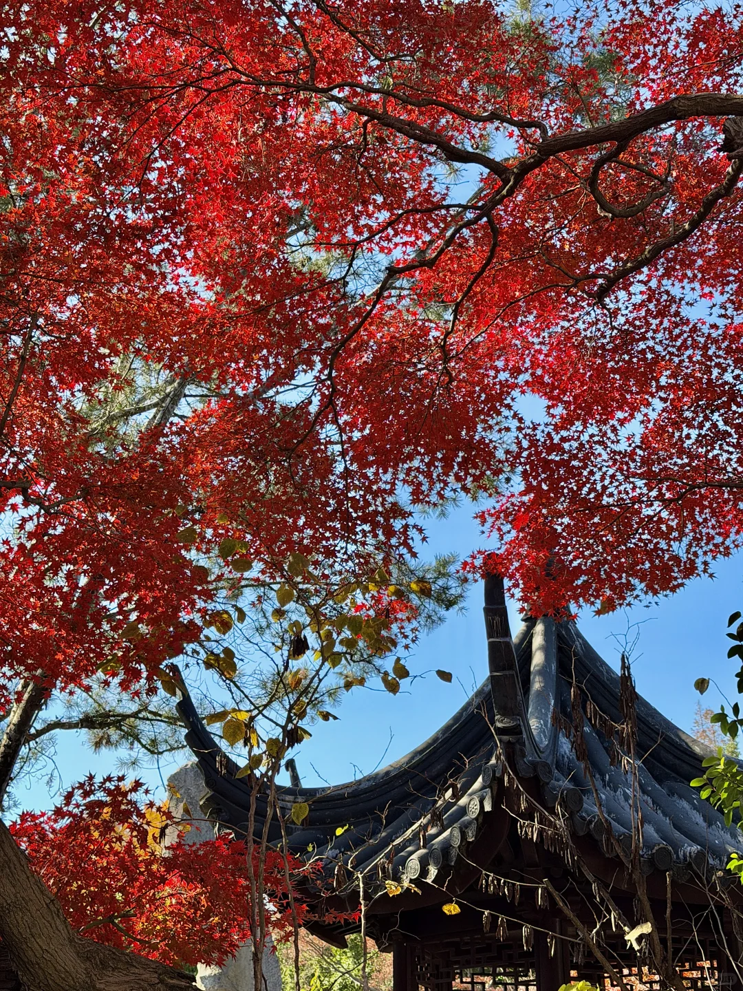 12.3苏州今天杀疯了！！！！！！！！！！！！！！