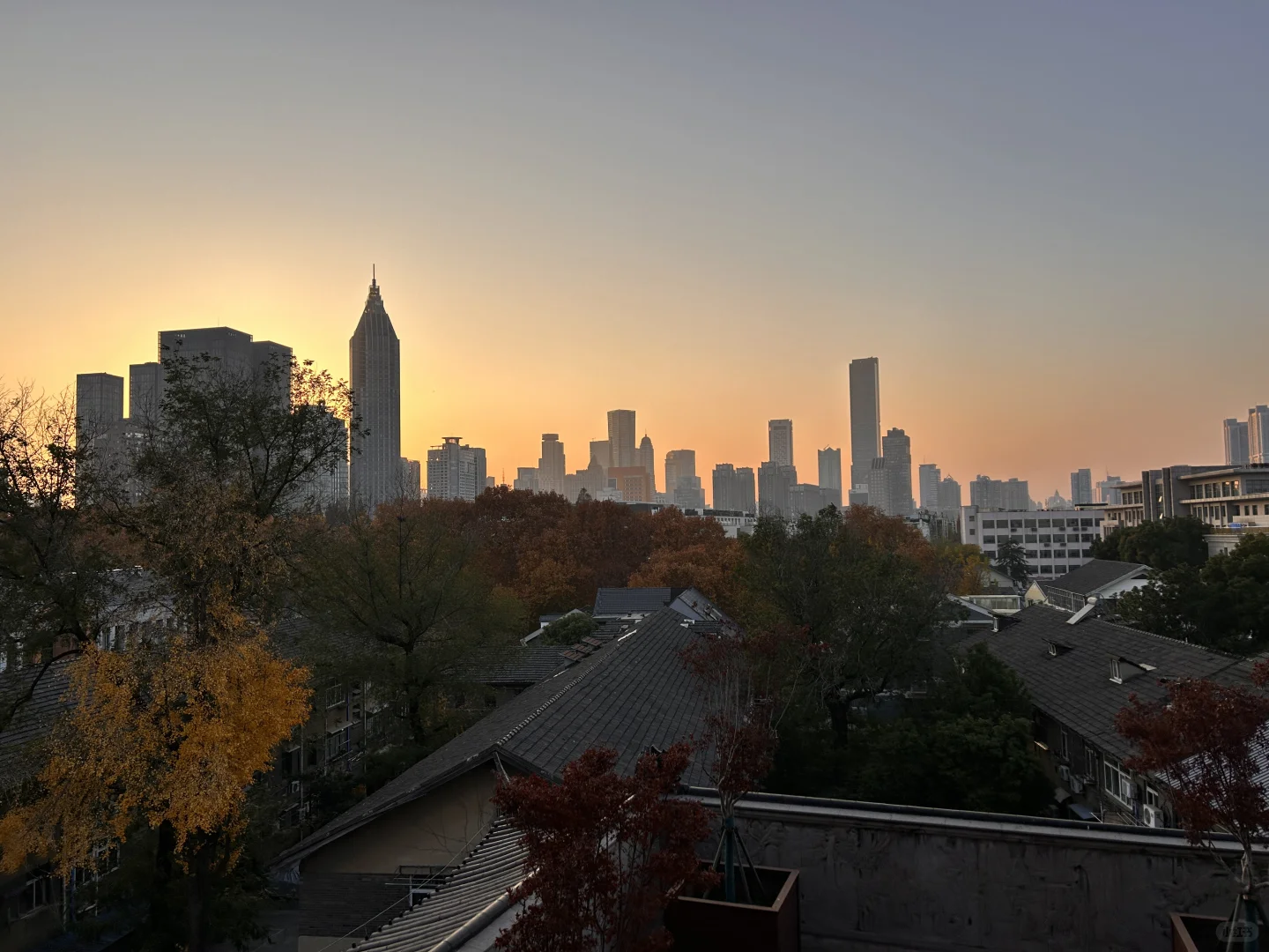 南京毗卢寺：喧嚣闹市中穿越时空的禅境