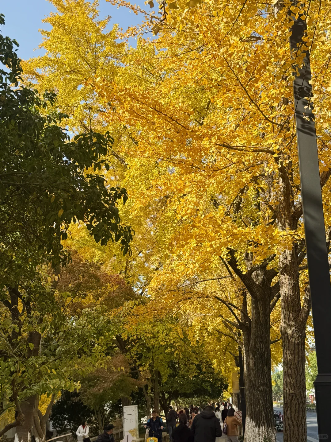 预计下周，全苏州人员都会来这里……