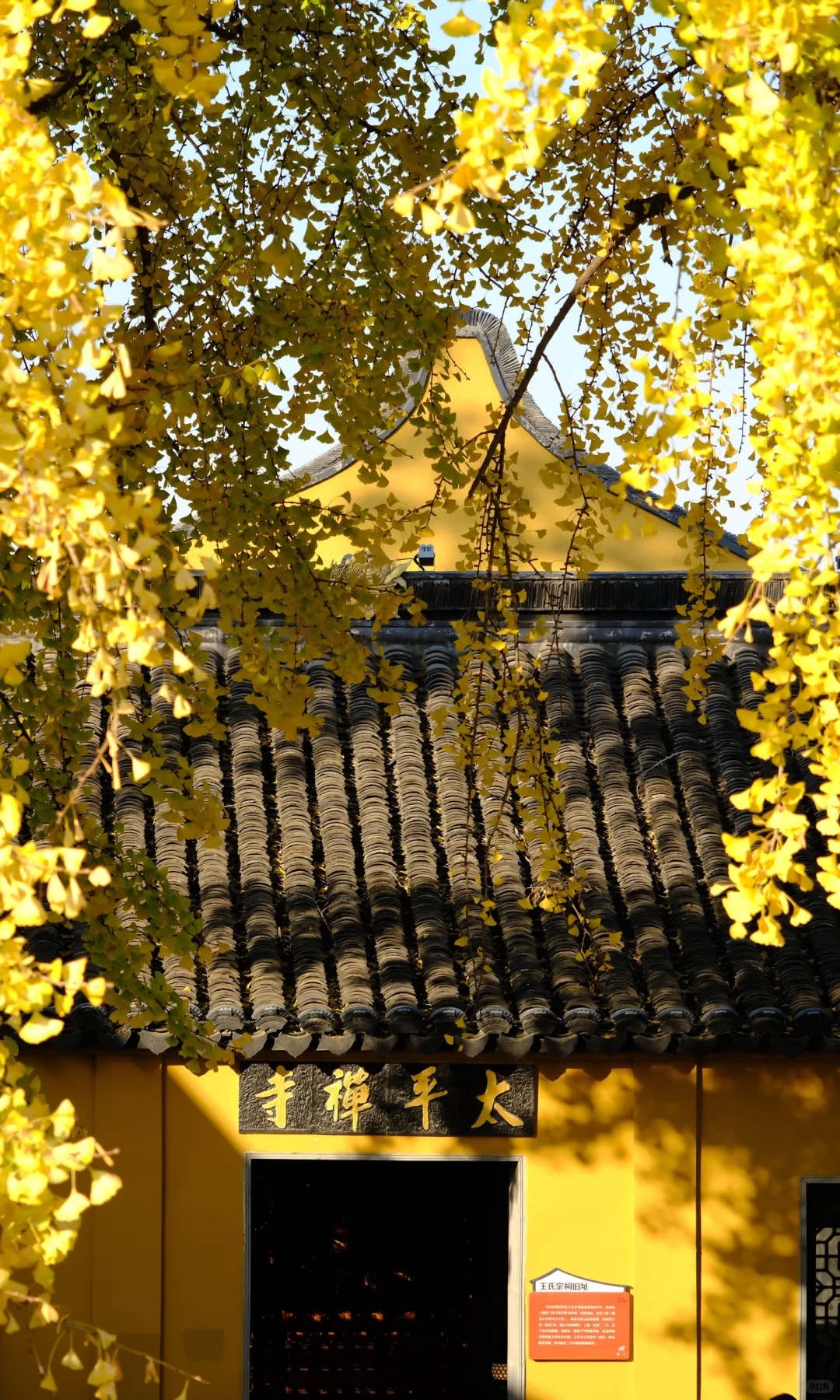 18张live图🍁告诉你苏州秋天有多美！！