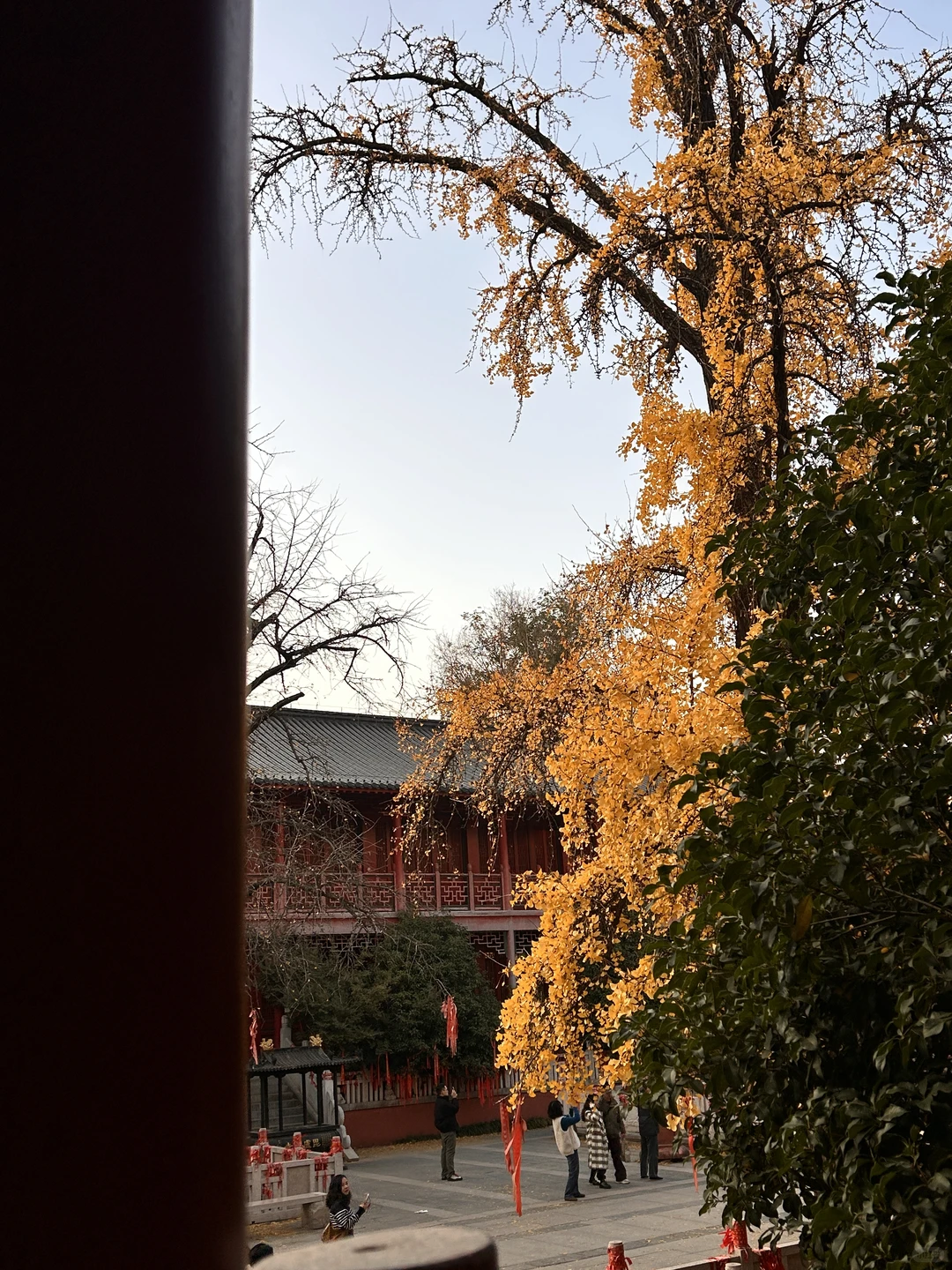 南京毗卢寺：喧嚣闹市中穿越时空的禅境