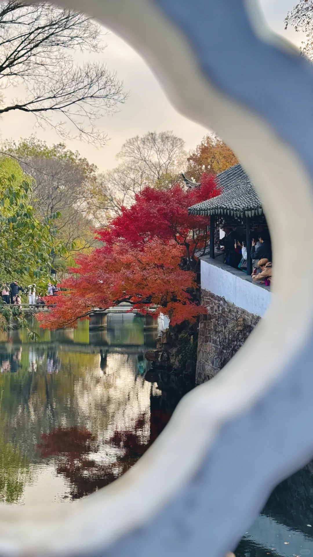 苏州的秋太美了