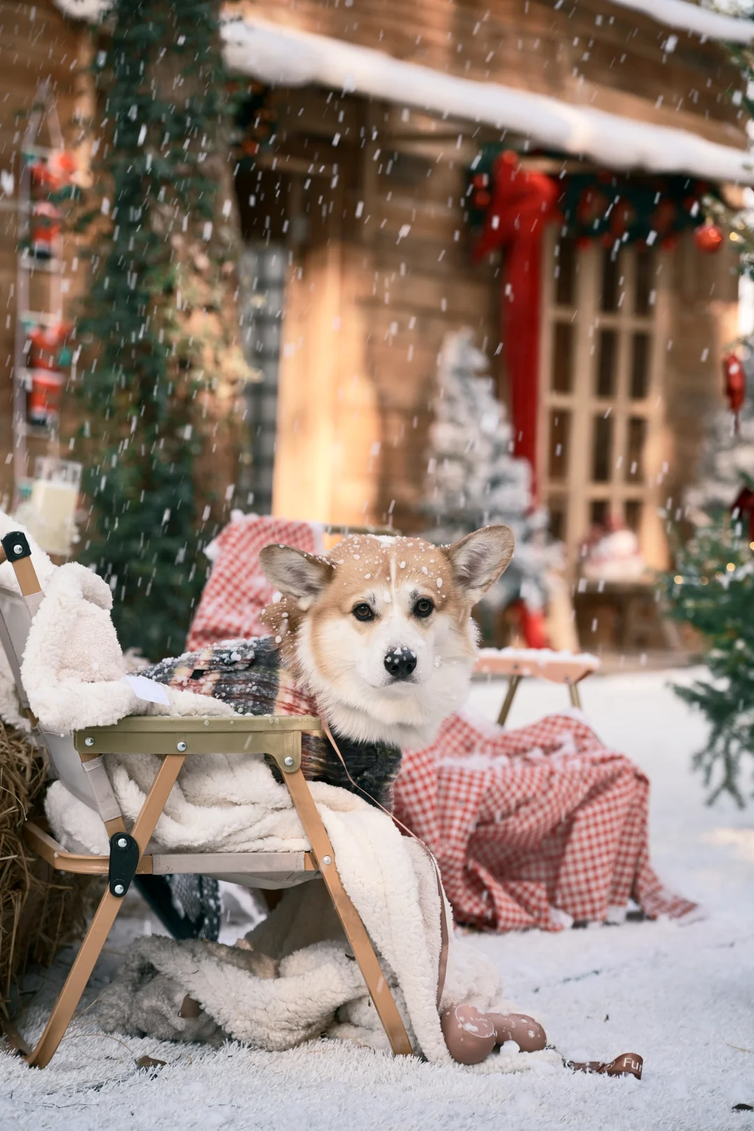 阳澄湖这里的飘雪，也太太太太太好拍了吧！！！