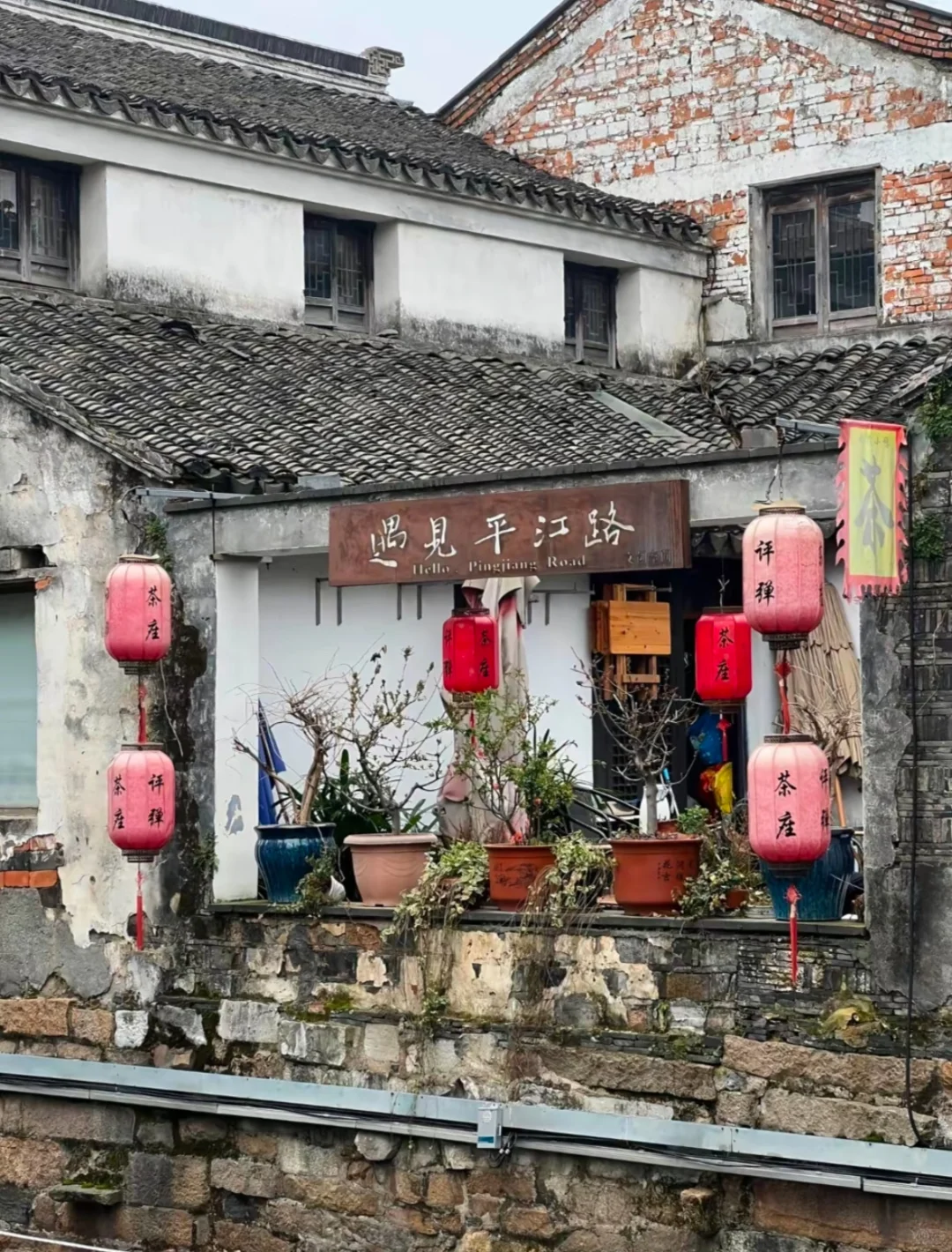 一条平江路，半座姑苏城｜从早到晚攻略