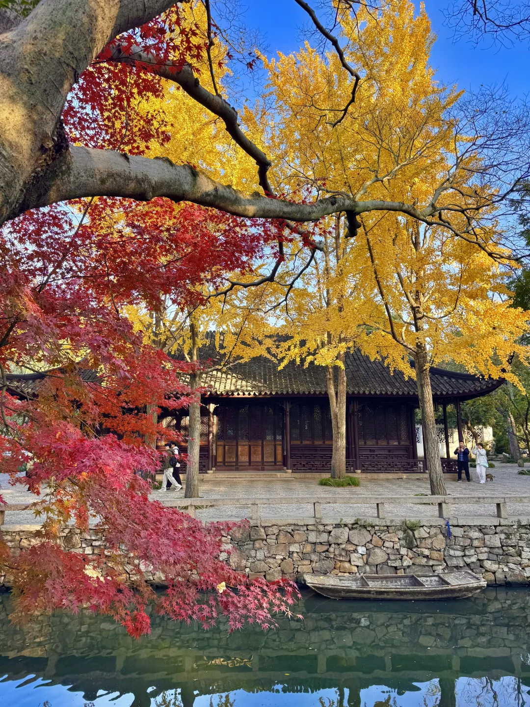 11.29live｜拙政园的秋色美疯了！！！！！🍁