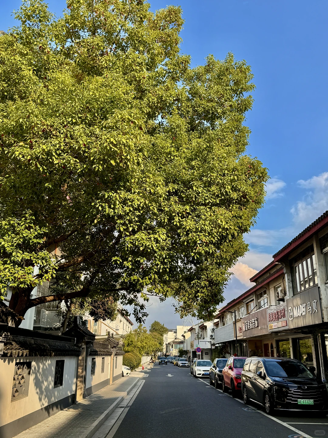 爱上苏州的一万个理由…