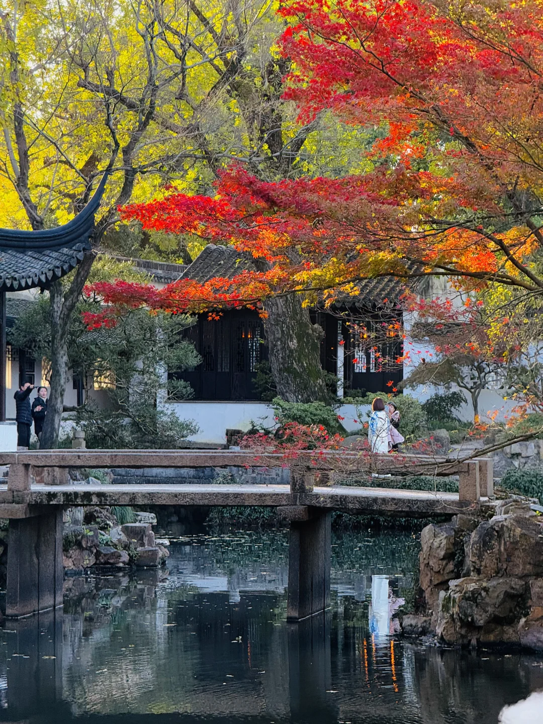 苏州的秋天即将封神 ！！！