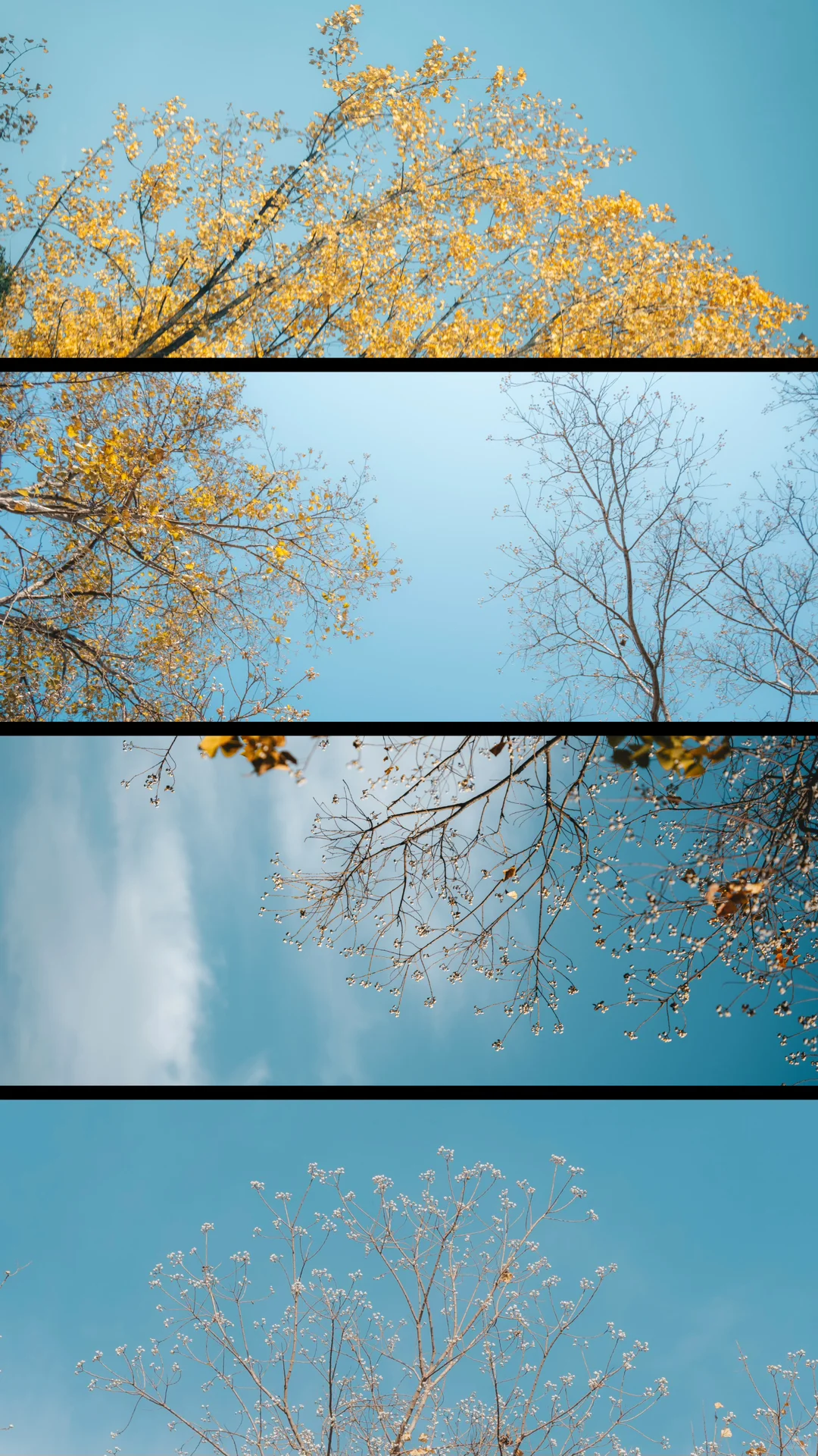 天平山，苏州色彩最丰富的秋天在这里