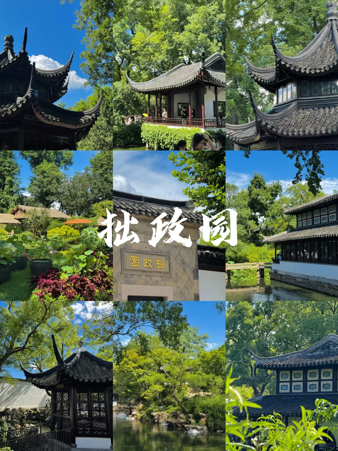 苏州｜拙政园