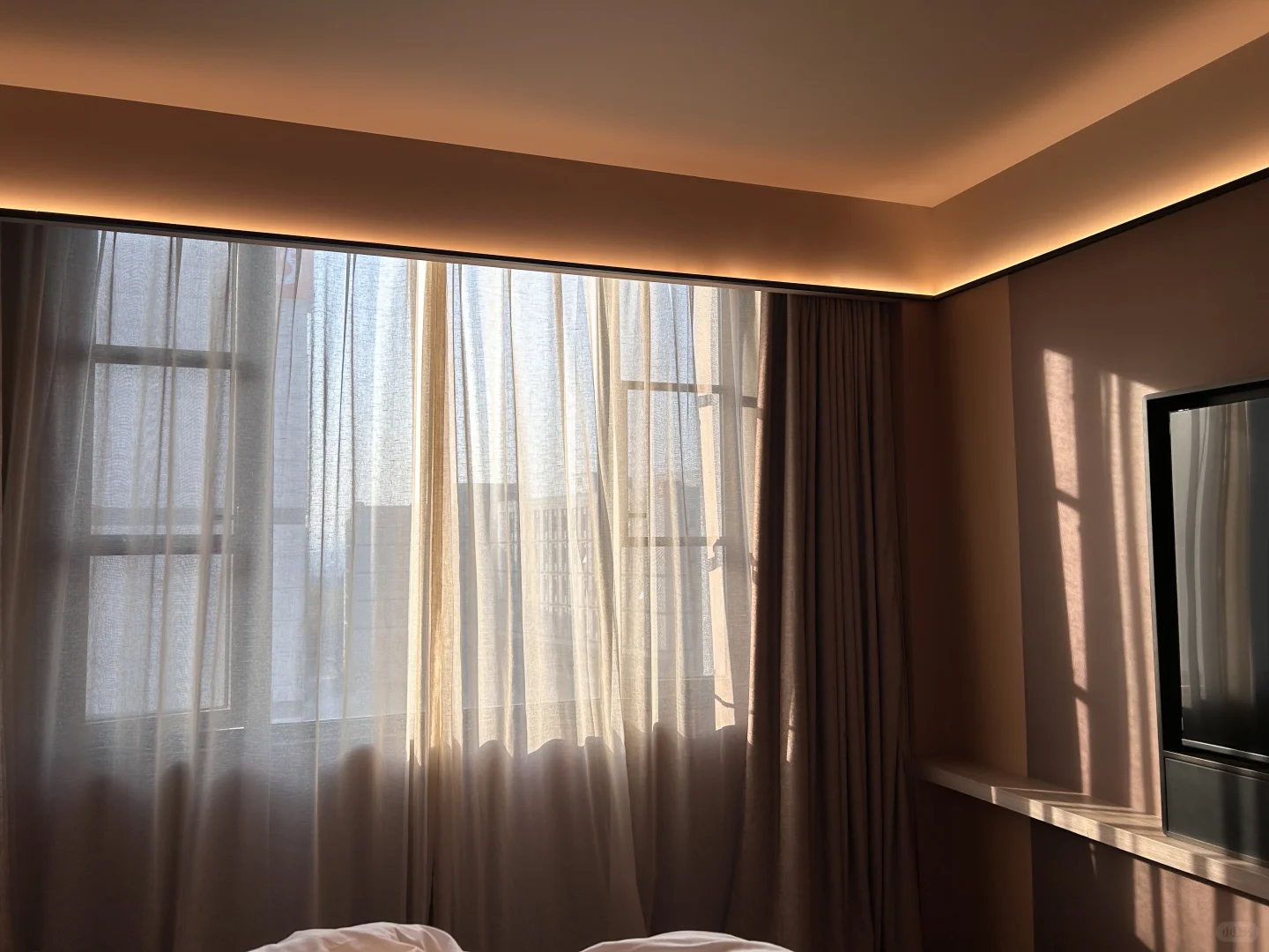 南京你把我养的很好