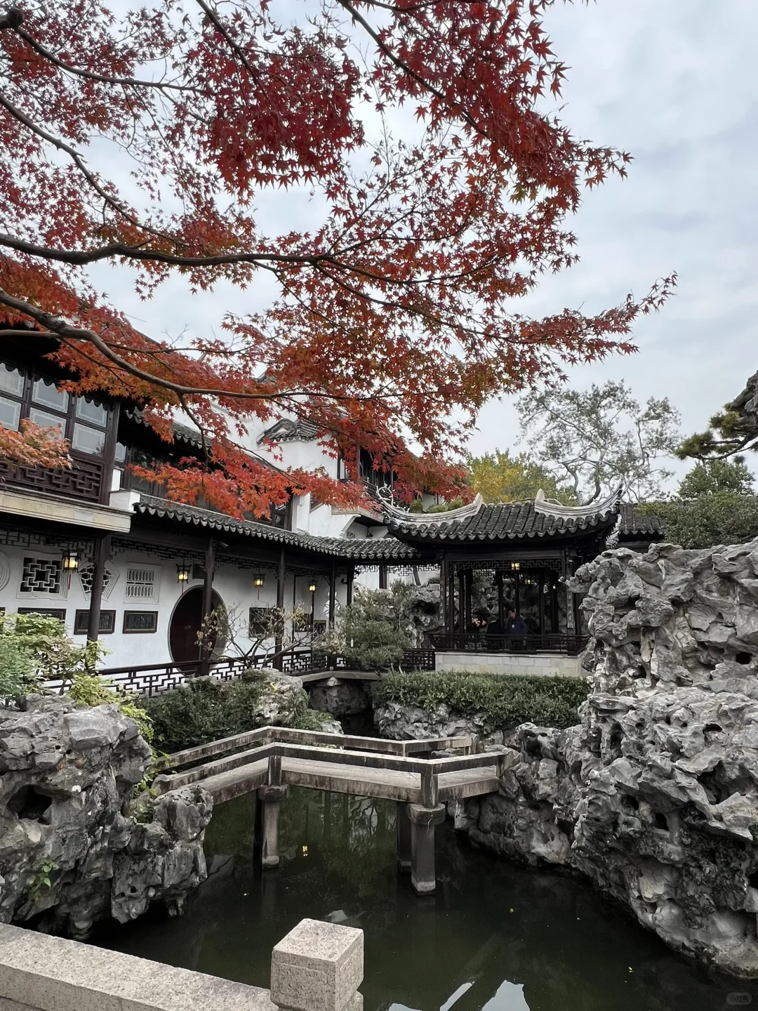 上有天堂、下有蘇杭🌷🌱🌸🍃🍁💐