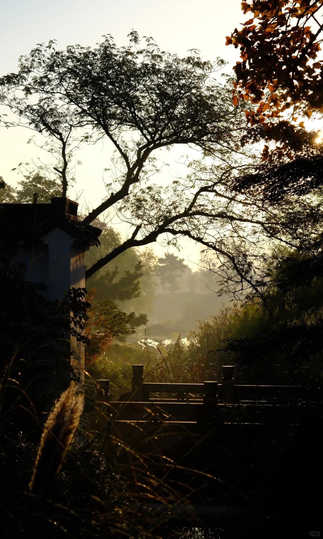 18张live图🍁告诉你苏州秋天有多美！！