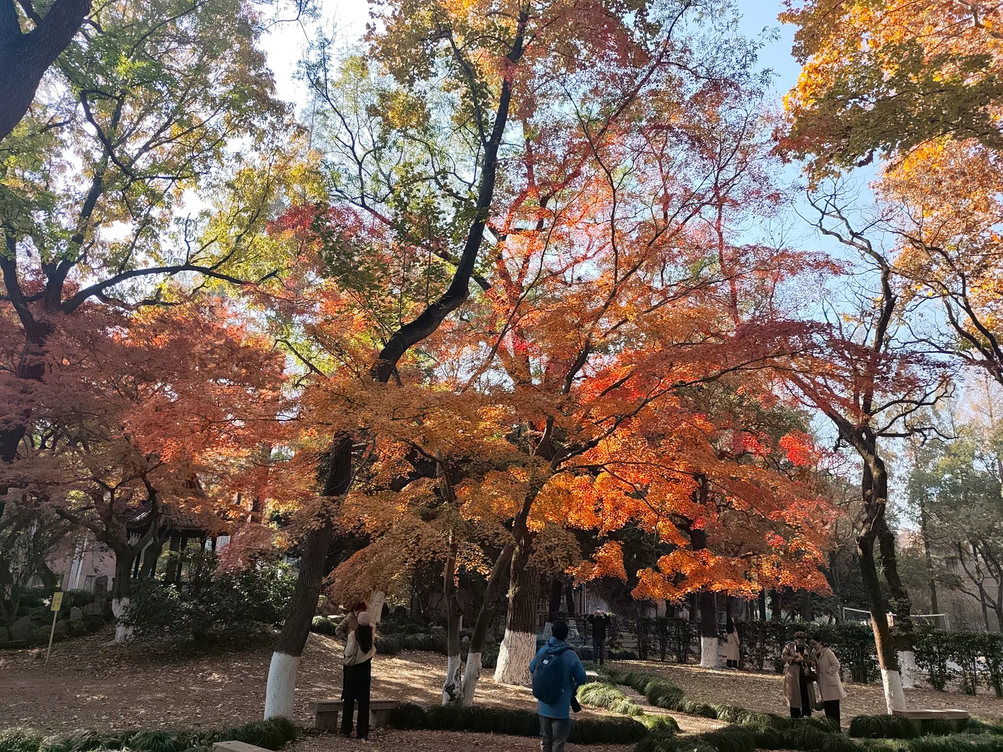 周末，来看下苏州大学