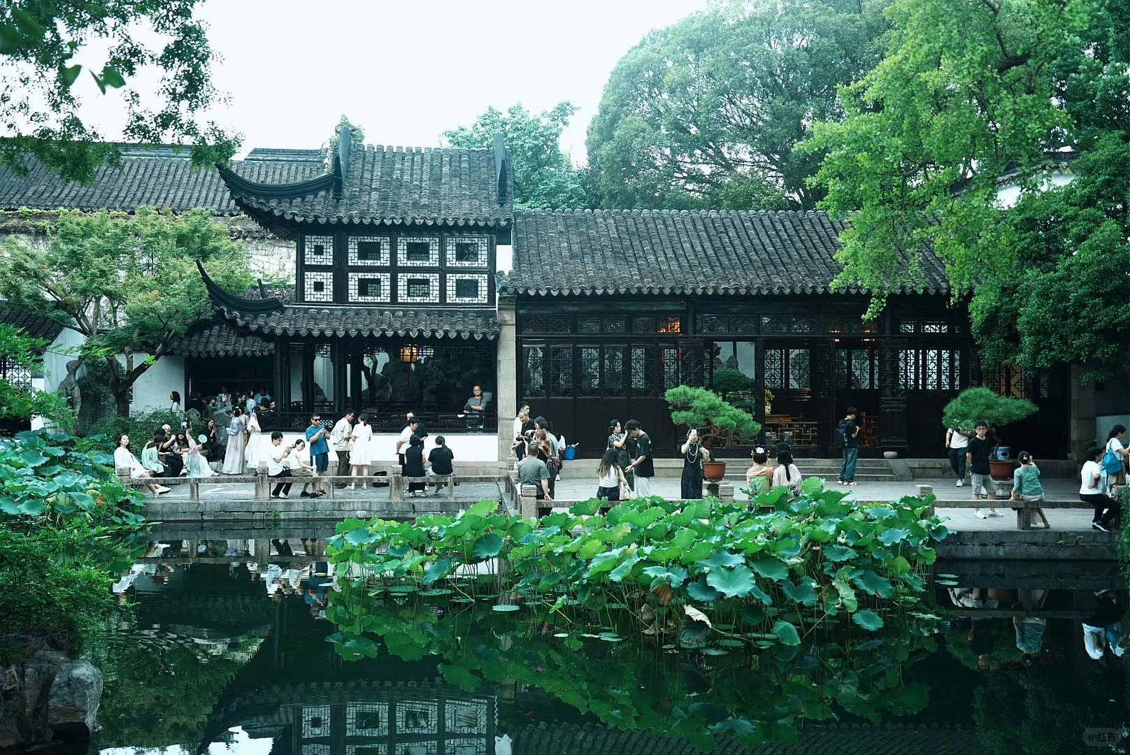 苏州｜一步一景，尽显江南诗意
