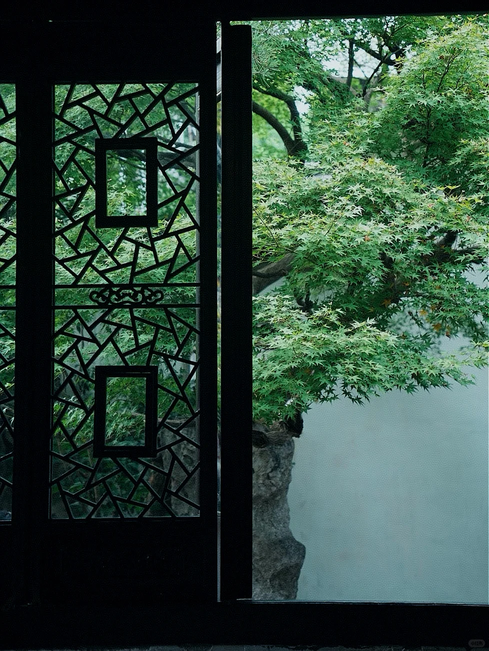苏州｜一步一景，尽显江南诗意