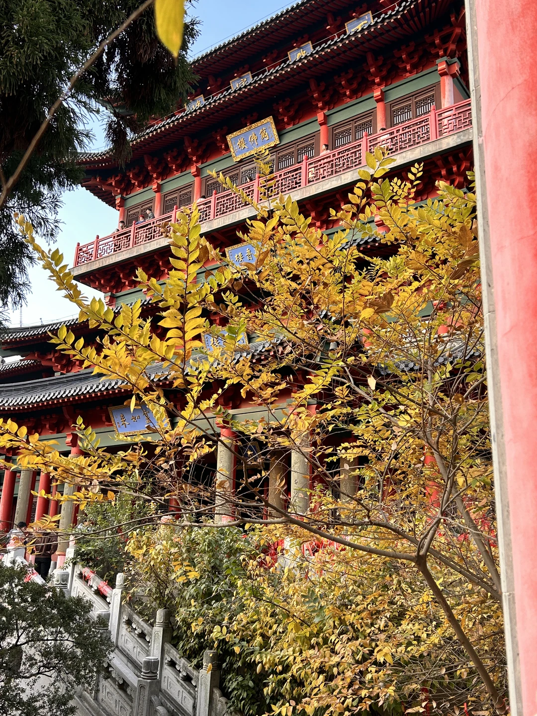 南京毗卢寺：喧嚣闹市中穿越时空的禅境