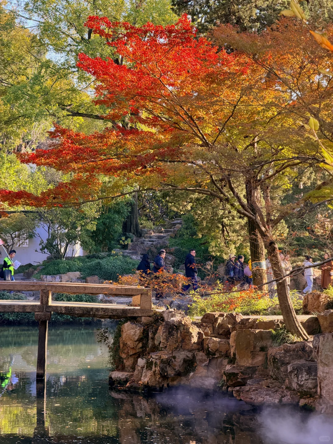 拙政园实况❗️苏州秋天的美，真的很难不爱❗️