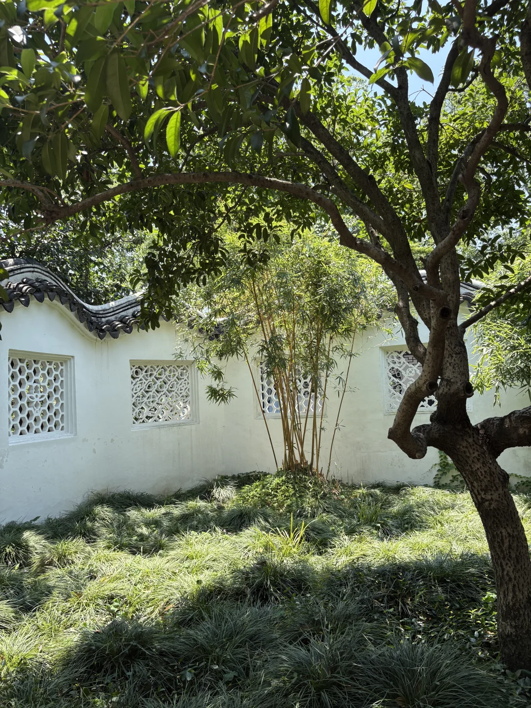 苏州一日游🫠🥵🙃