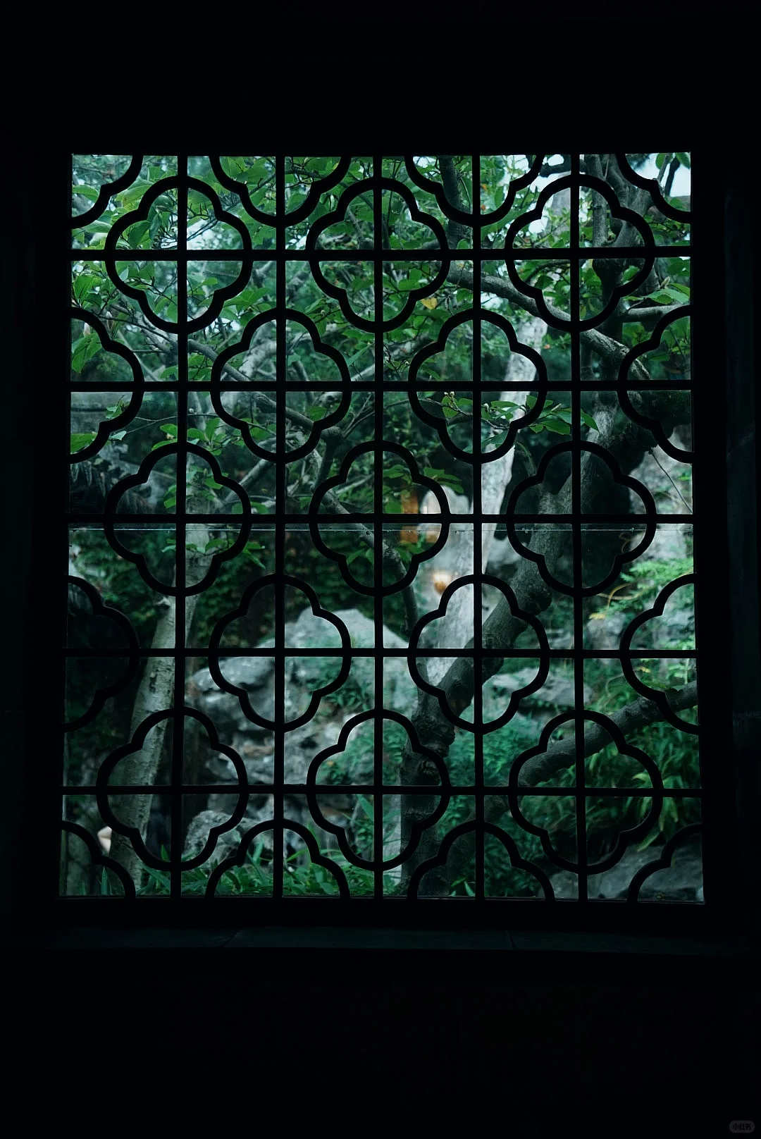 苏州｜一步一景，尽显江南诗意