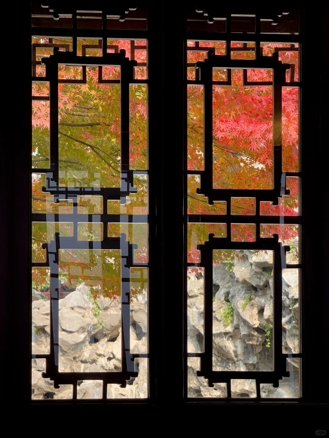 Live🍁接下来的苏州，将迎来封神级别的秋天