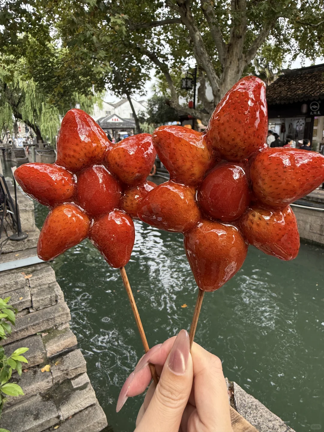 人生建议：逛完平江路再离开苏州。。。。。