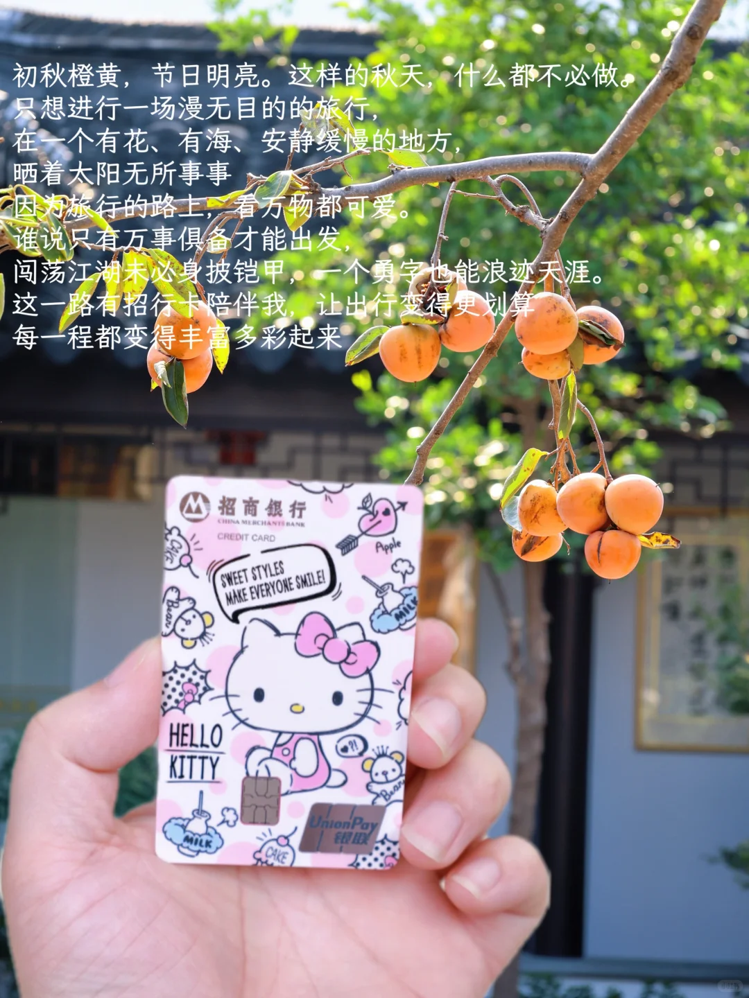 每一个来苏州的朋友都会被我带来这里‼