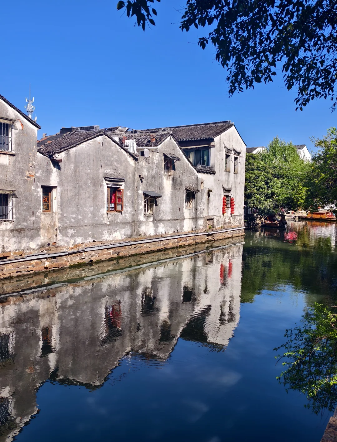 一条平江路，半座姑苏城｜从早到晚攻略