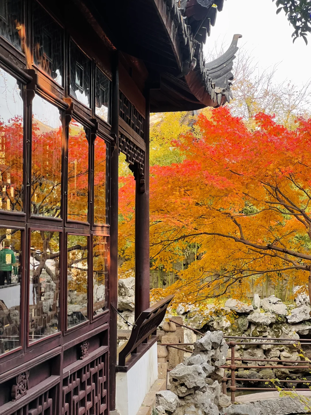 苏州的秋天即将封神 ！！！