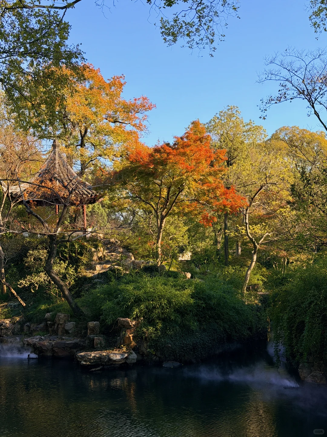 拙政园实况❗️苏州秋天的美，真的很难不爱❗️