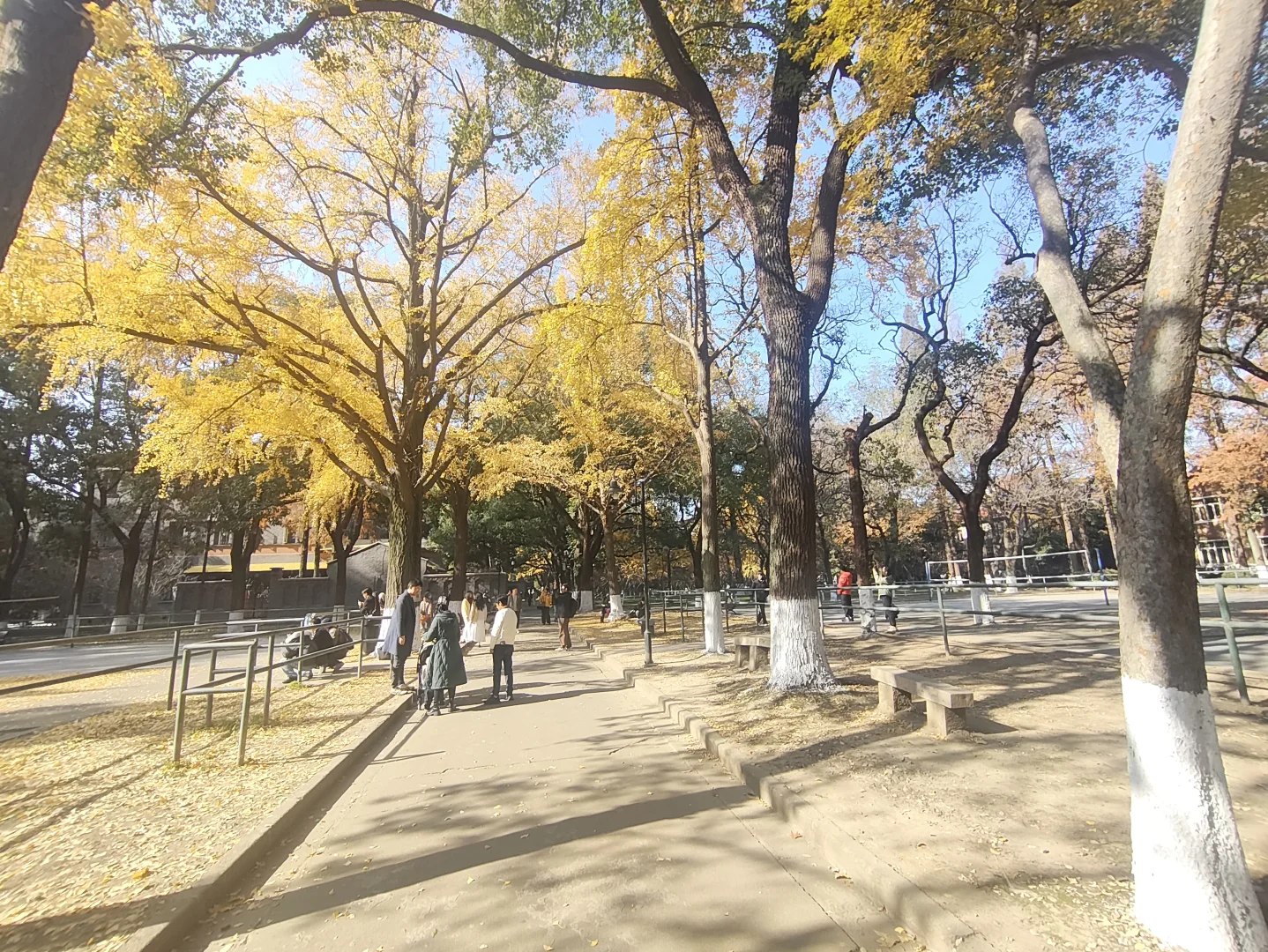 周末，来看下苏州大学