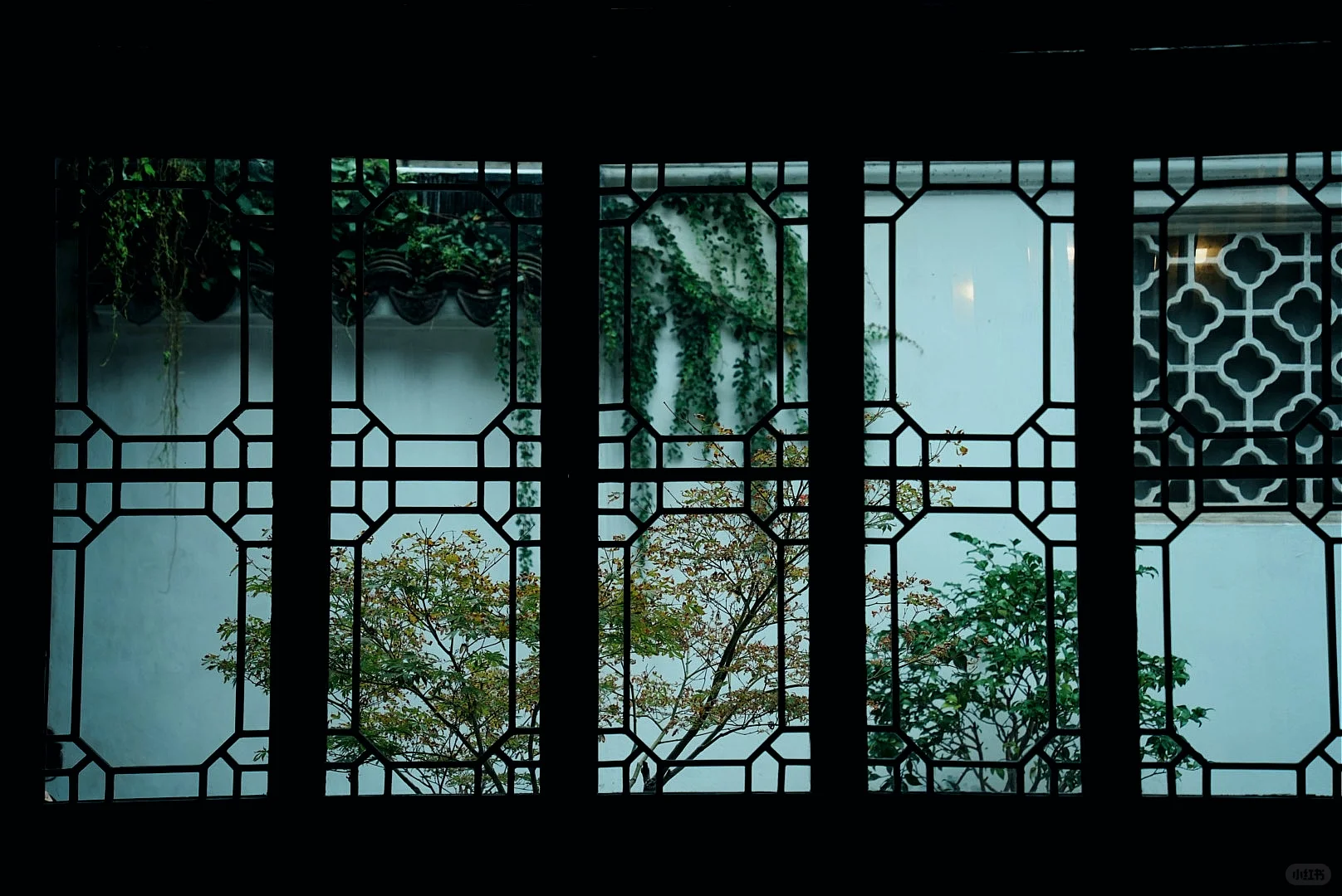 苏州｜一步一景，尽显江南诗意