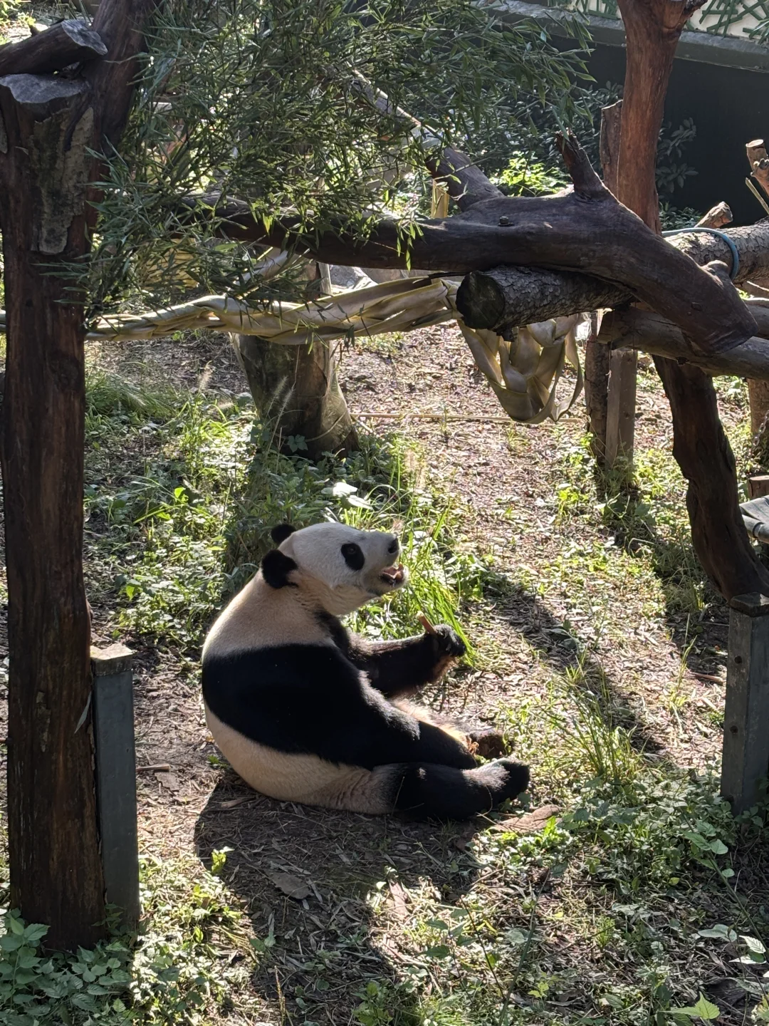 📍南京｜三天两晚自由行