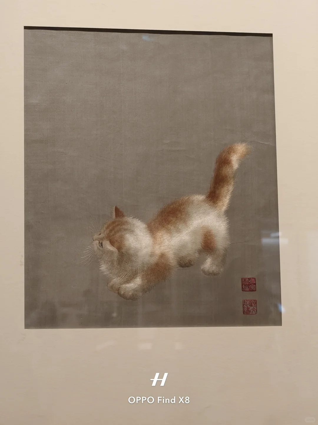 不是我想象中的江南