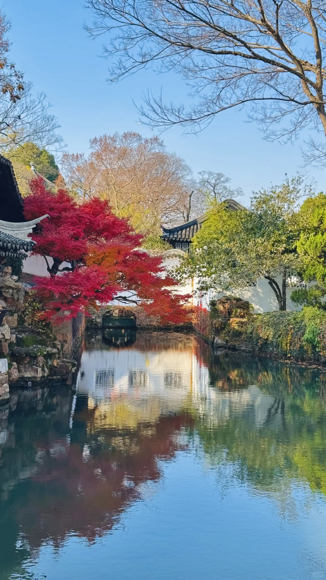 苏州的秋太美了