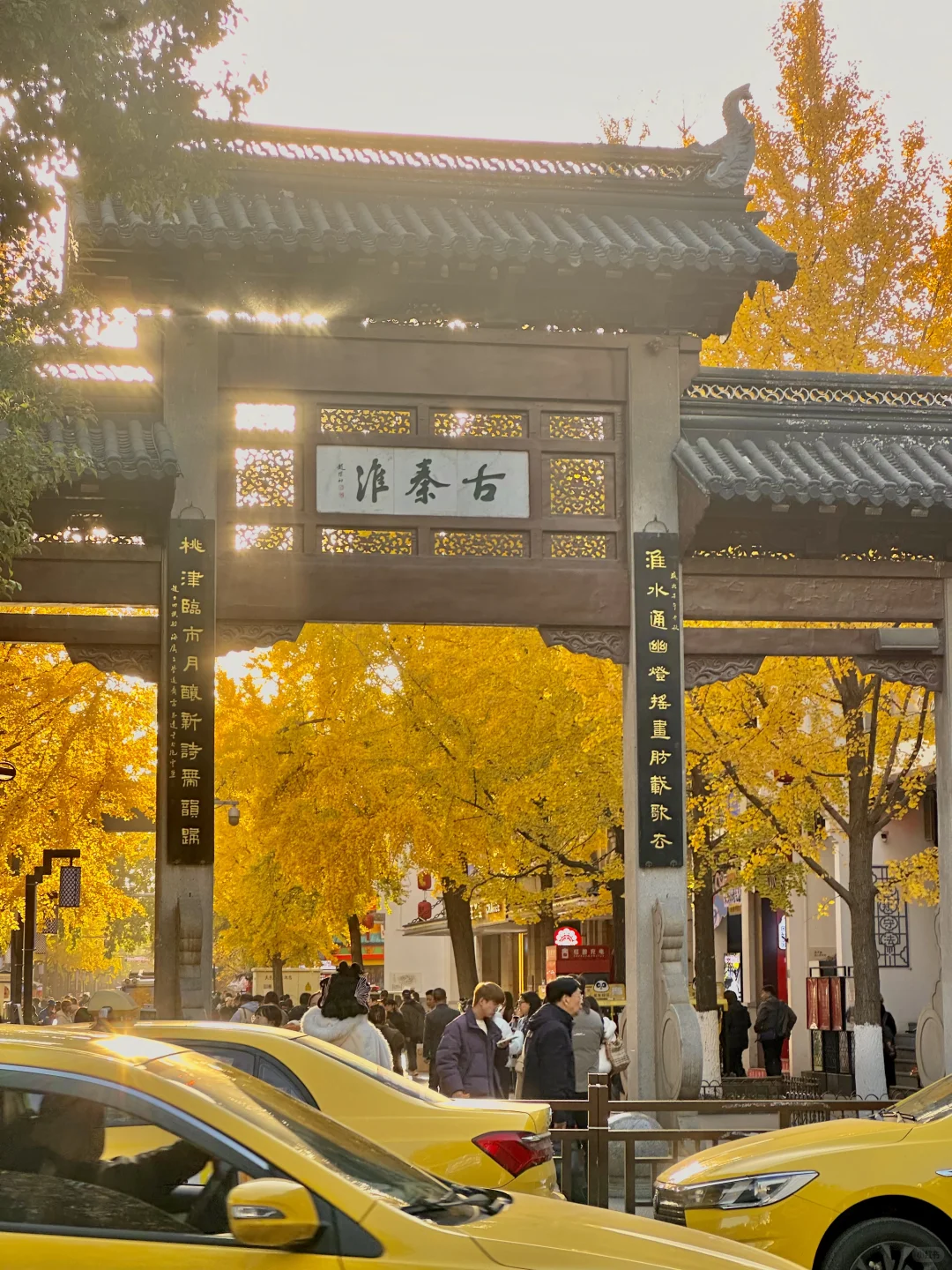 12.1实况！南京的秋天美疯了（合集附地址…