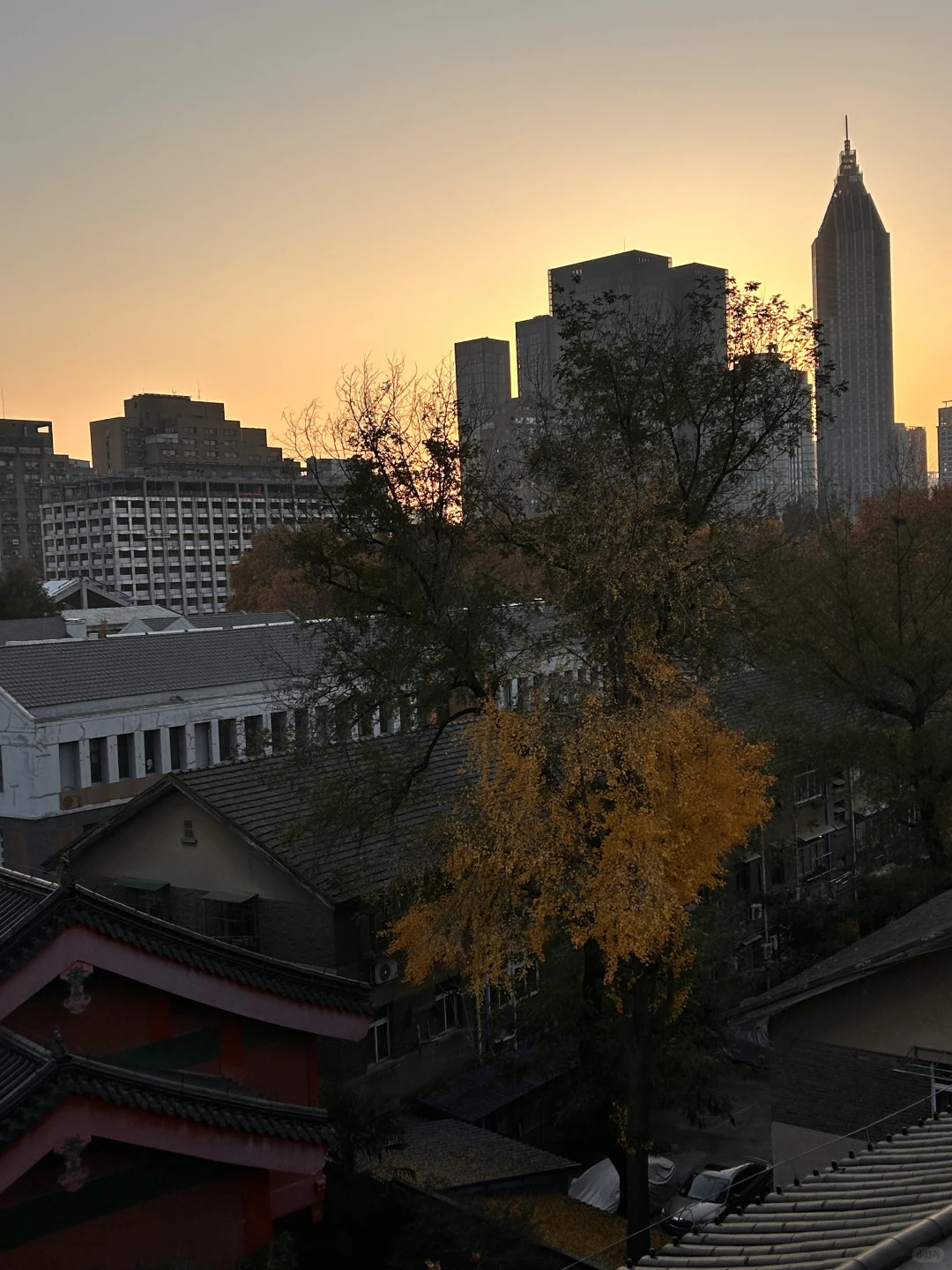 南京毗卢寺：喧嚣闹市中穿越时空的禅境